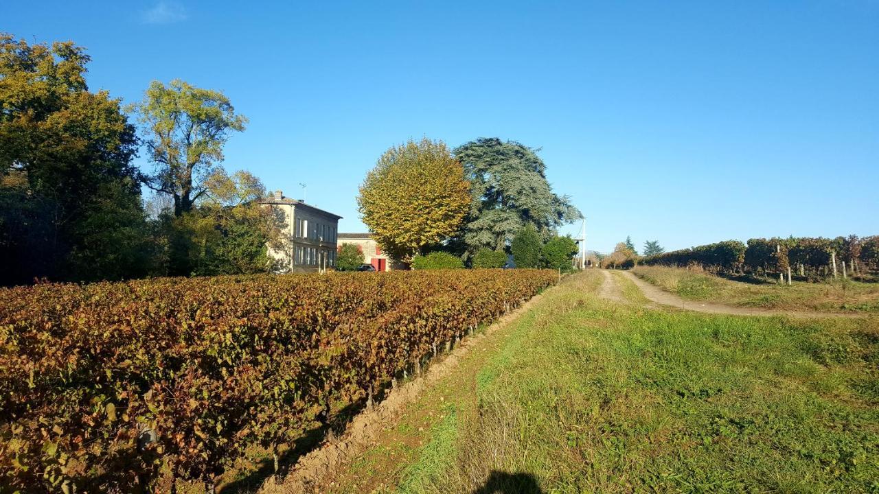 Chateau Cantelaube Saint-Émilion Exterior foto